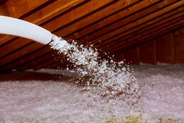 Best Insulation Maintenance and Repair in Lockney, TX