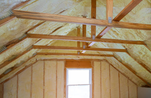 Best Cellulose Insulation in Lockney, TX