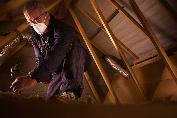 Types of Insulation We Offer in Lockney, TX