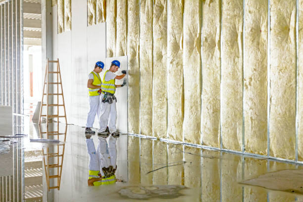 Best DIY Insulation Kits and Guidance in Lockney, TX